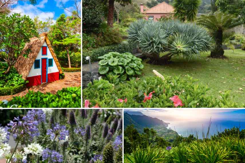 amenager jardin inspire de Madere, amenager jardin luxuriant exotique