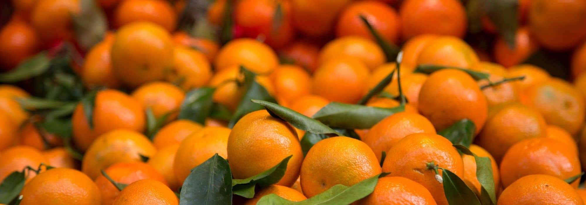 La Clémentine avec ses feuilles - mon-marché.fr