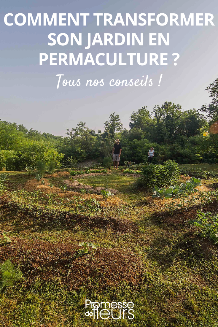 Comment faire son terreau pour semis et repiquage - permaculture