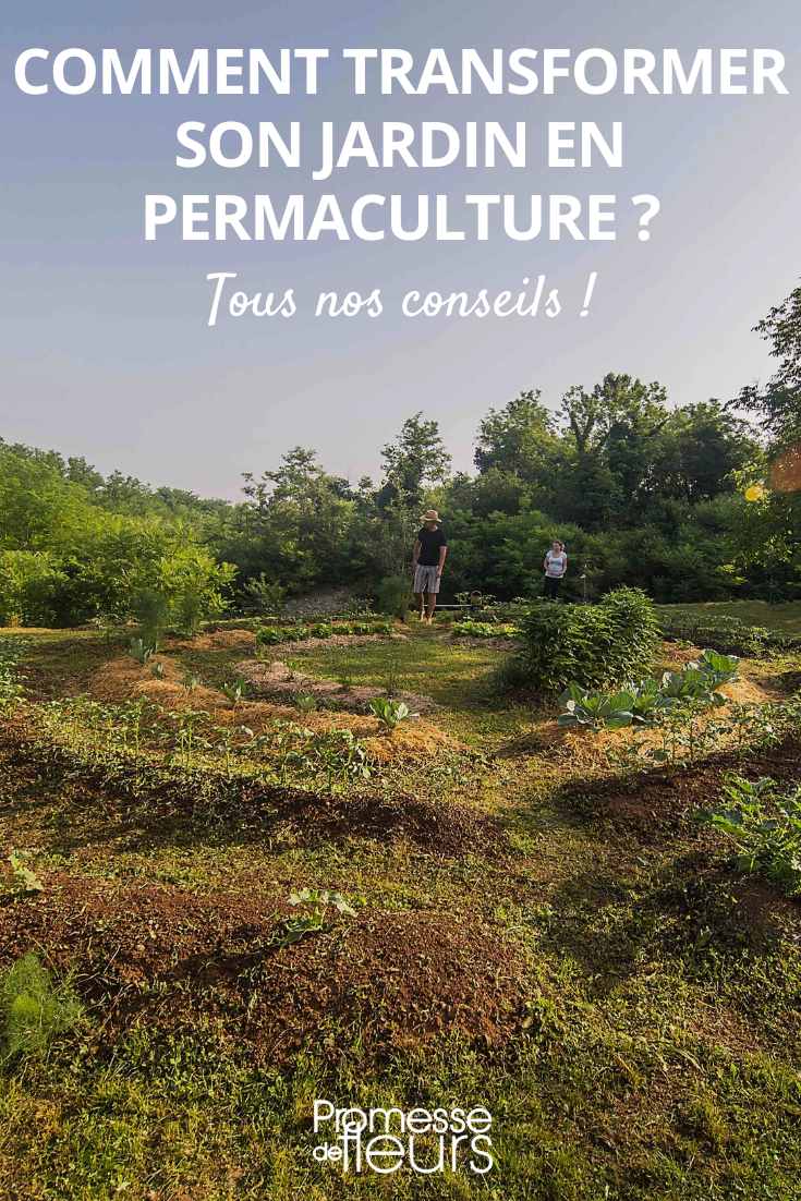 permaculture