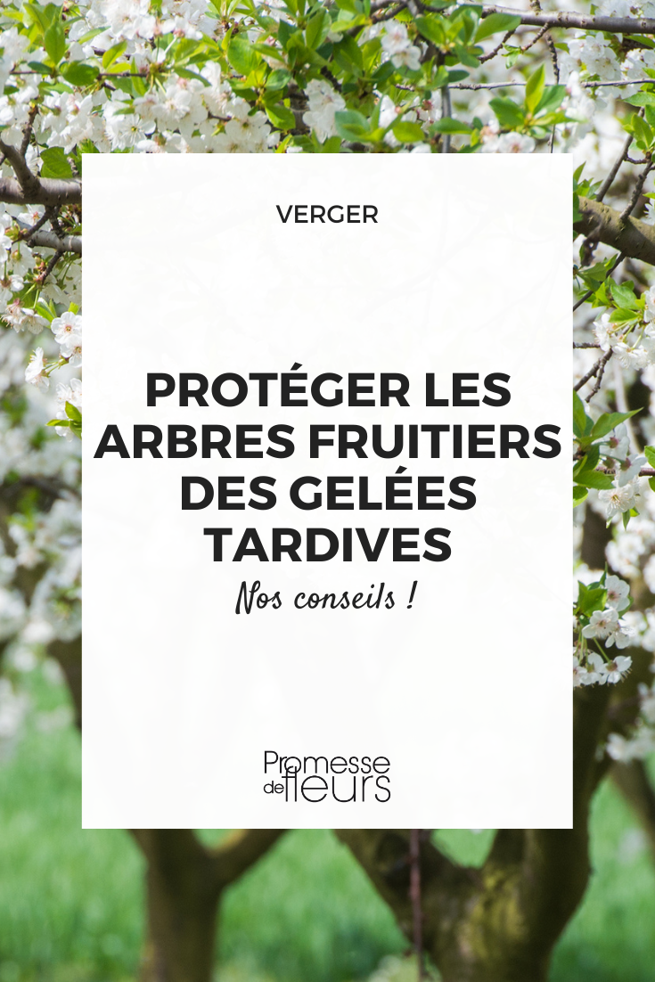 verger fruitiers