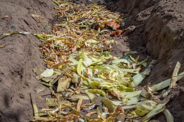 Comment faire du compost en tranchée ? Les étapes à suivre