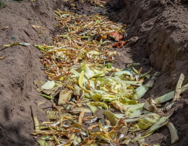 Comment faire du compost en tranchée ? Les étapes à suivre