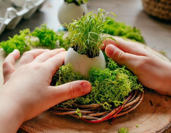 Comment faire un nid de Pâques avec les enfants ?