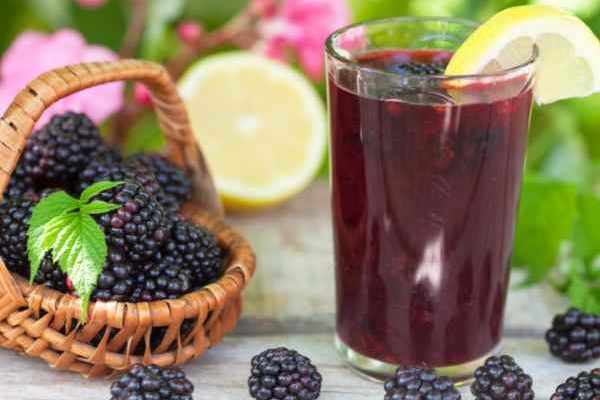 Comment faire du sirop de mûres maison ?