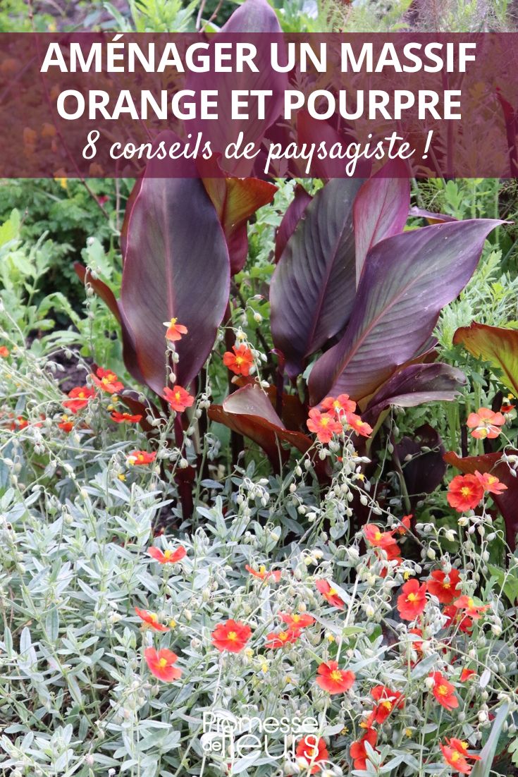 composition orange pourpre jardin