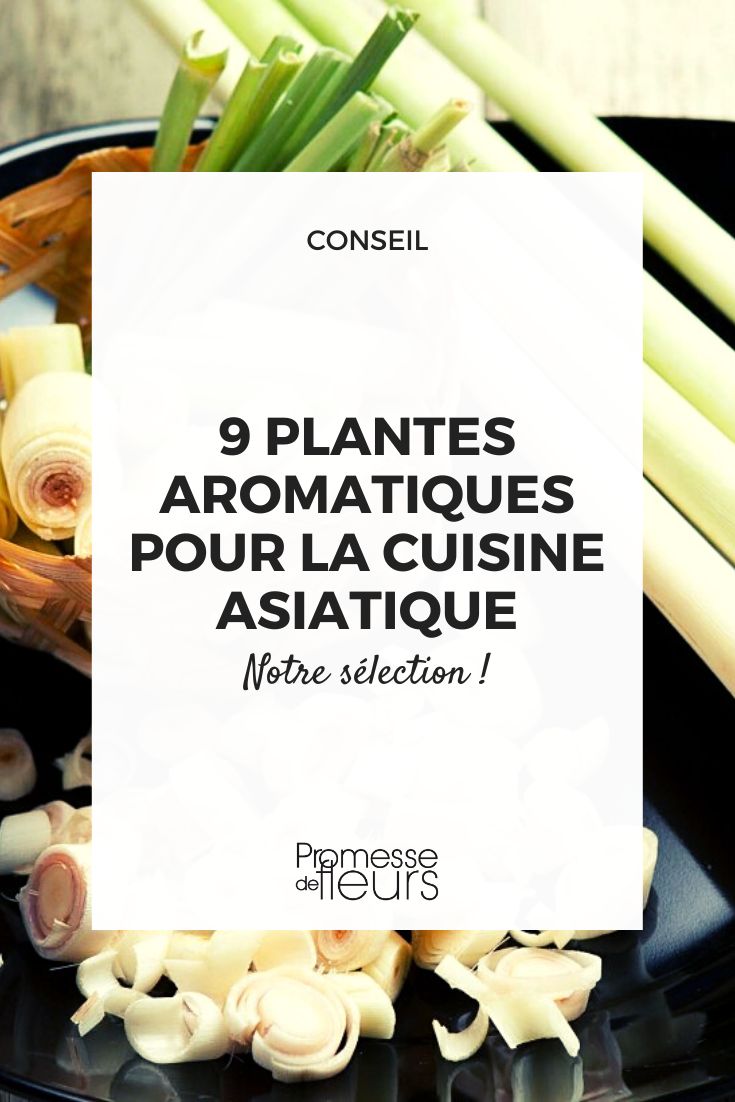 plantes cuisine asie