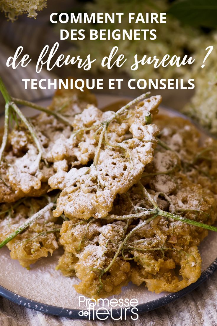 Recette du sirop de fleurs de sureau - Quatre Saisons Au Jardin