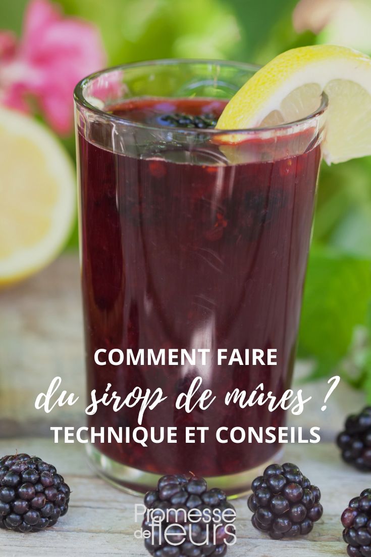 recette sirop de mûre