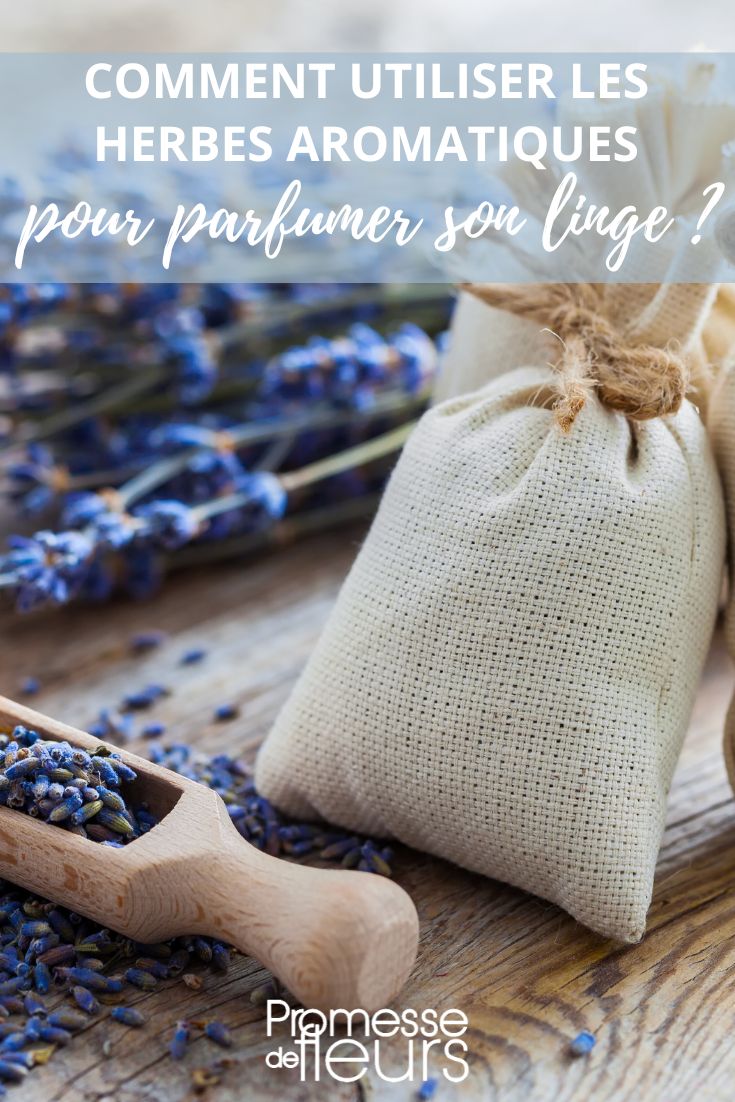 Comment utiliser les herbes aromatiques pour parfumer son linge ?