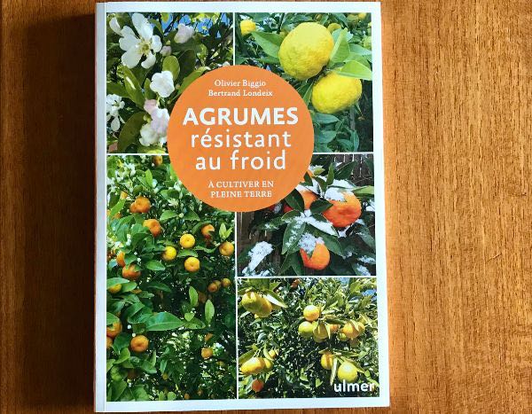 Agrumes sous serre de jardin : Comment les protéger du froid