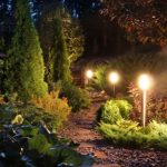 Pourquoi et comment diminuer la pollution lumineuse dans son jardin ?