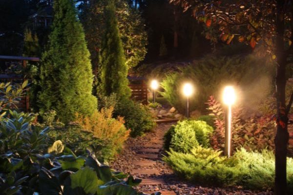 Pourquoi et comment diminuer la pollution lumineuse dans son jardin ?