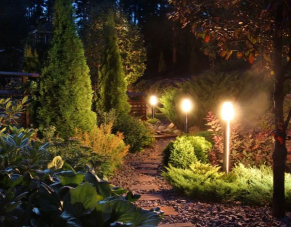 Pourquoi et comment diminuer la pollution lumineuse dans son jardin ?