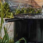 Comment aménager un jardin de pluie ou jardin d'infiltration ?