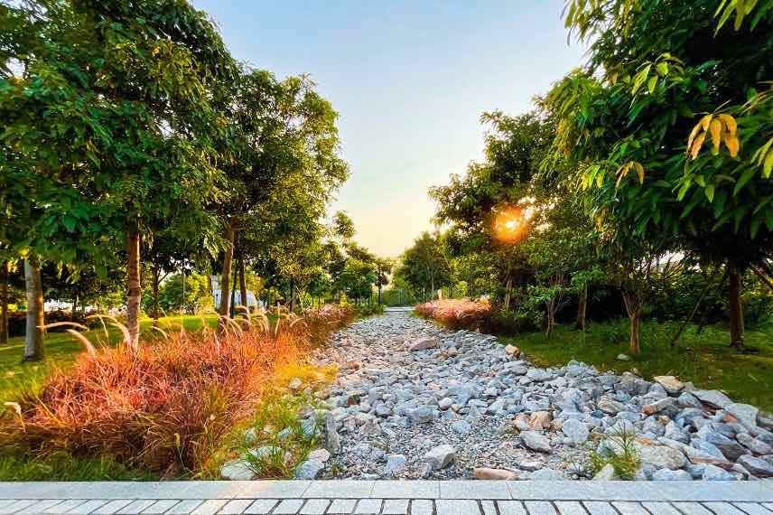 Récupérateurs d'eau de pluie pour le jardin et accessoires - botanic®