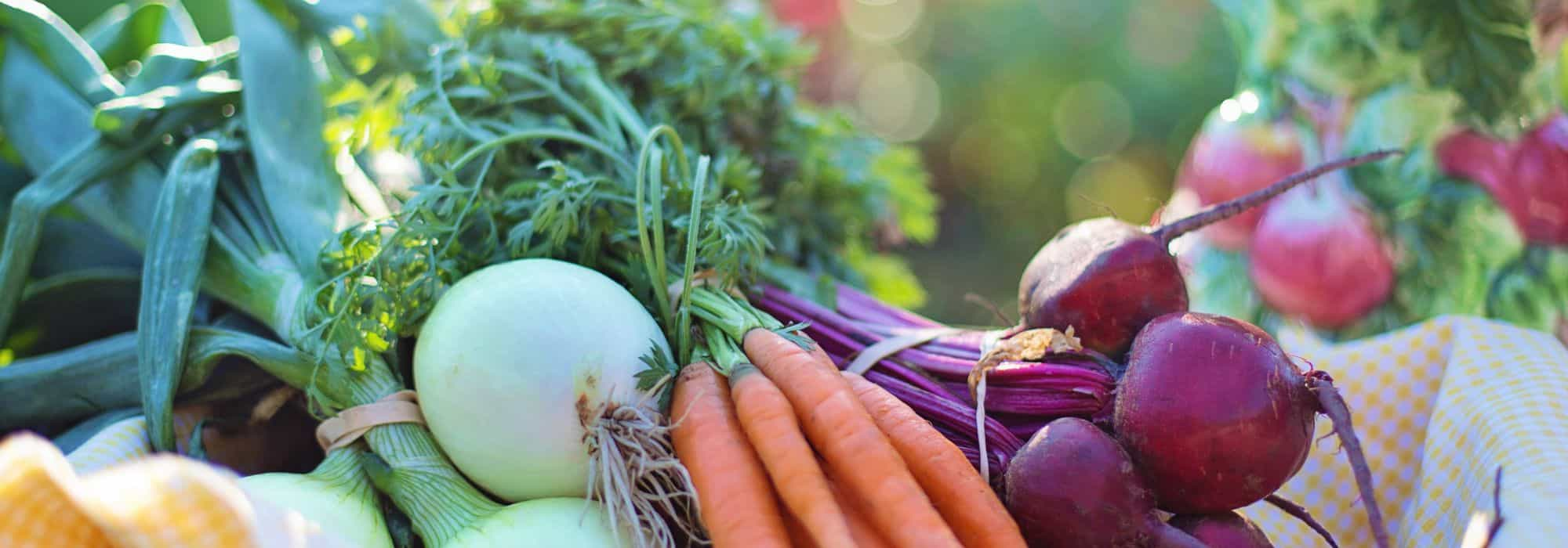 Légumes ornementaux : beauté et saveur au jardin potager