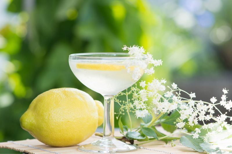 Limonade à la fleur de sureau facile et rapide : découvrez les