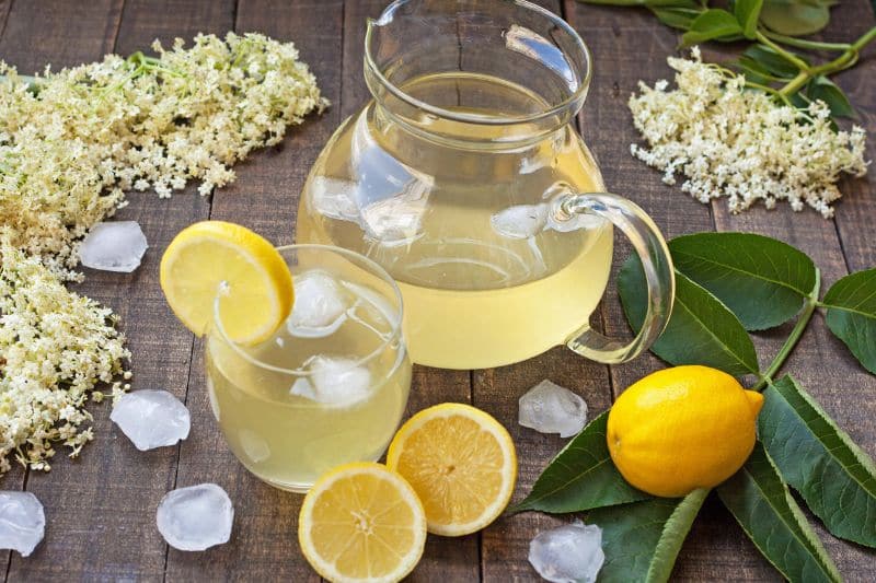 Limonade à la fleur de sureau facile et rapide : découvrez les