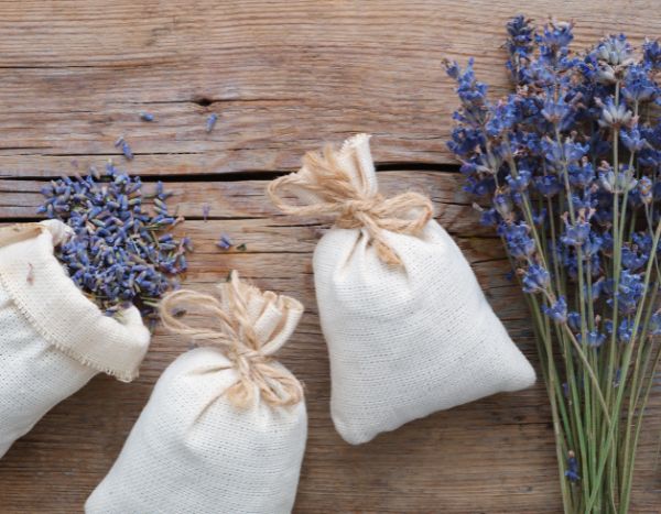 Comment utiliser les herbes aromatiques pour parfumer son linge ?