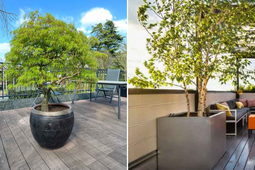 comment planter en pot, plantation en pot conseils, plantation sur balcon, plantation sur terrasse, plantation patio, plantation dans une cour