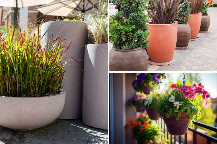 comment planter en pot, plantation en pot conseils, plantation sur balcon, plantation sur terrasse, plantation patio, plantation dans une cour