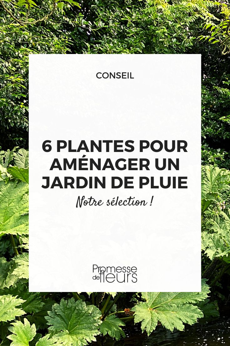 plantes pour jardin humide