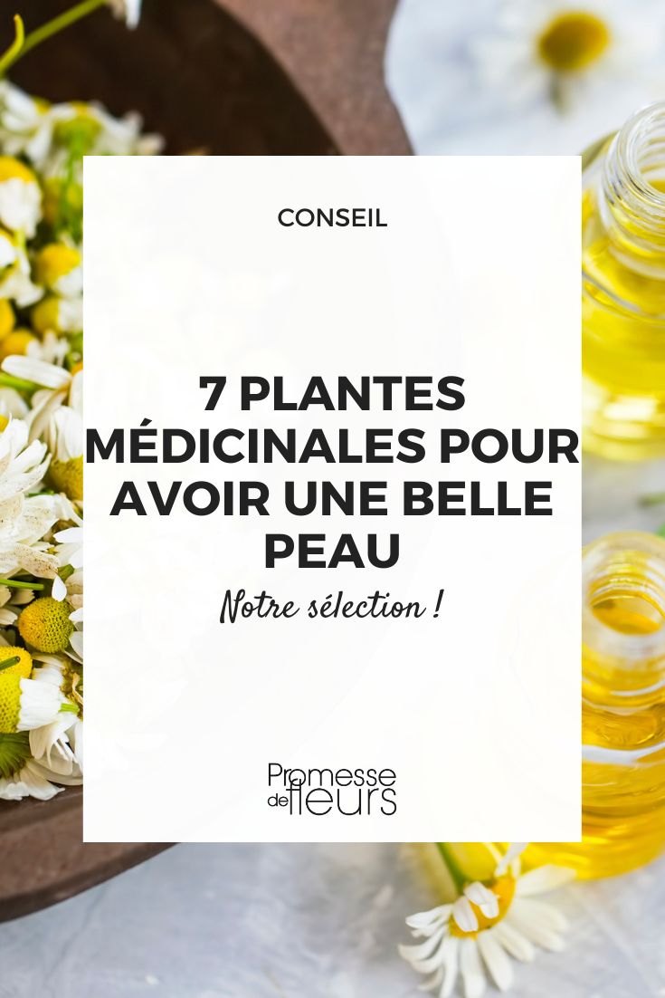 7 plantes médicinales pour avoir une belle peau - Promesse de Fleurs