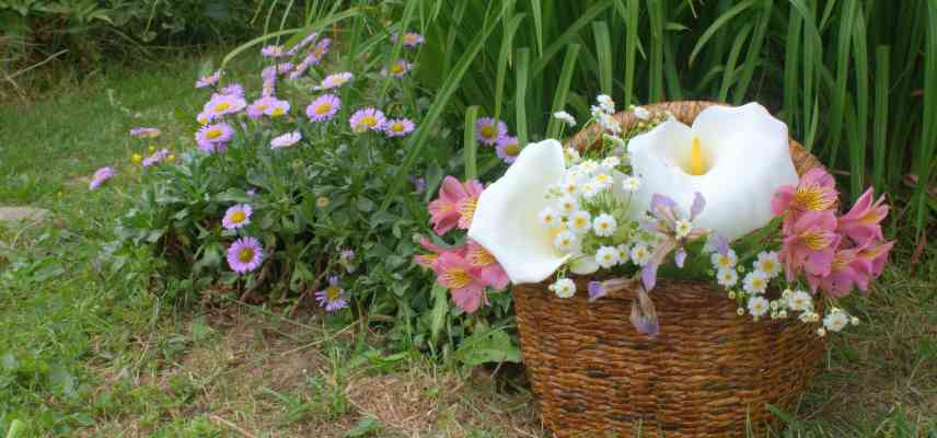 quelle fleur longue durée en vase, fleur tenant longtemps en vase, fleur qui tient en bouquet, feuillage longue durée en bouquet, meilleur fleur pour bouquet, bouquet durable, bouquet longue duree