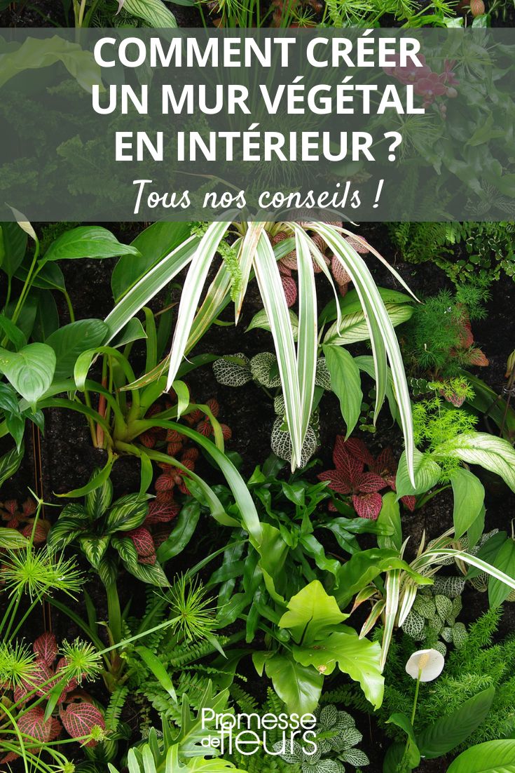 Cultiver son potager intérieur - La Fabrique du Mur Vegetal