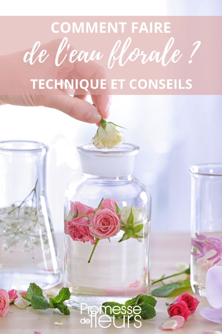 Eau de rose : comment la fabriquer et l'utiliser en cuisine ?