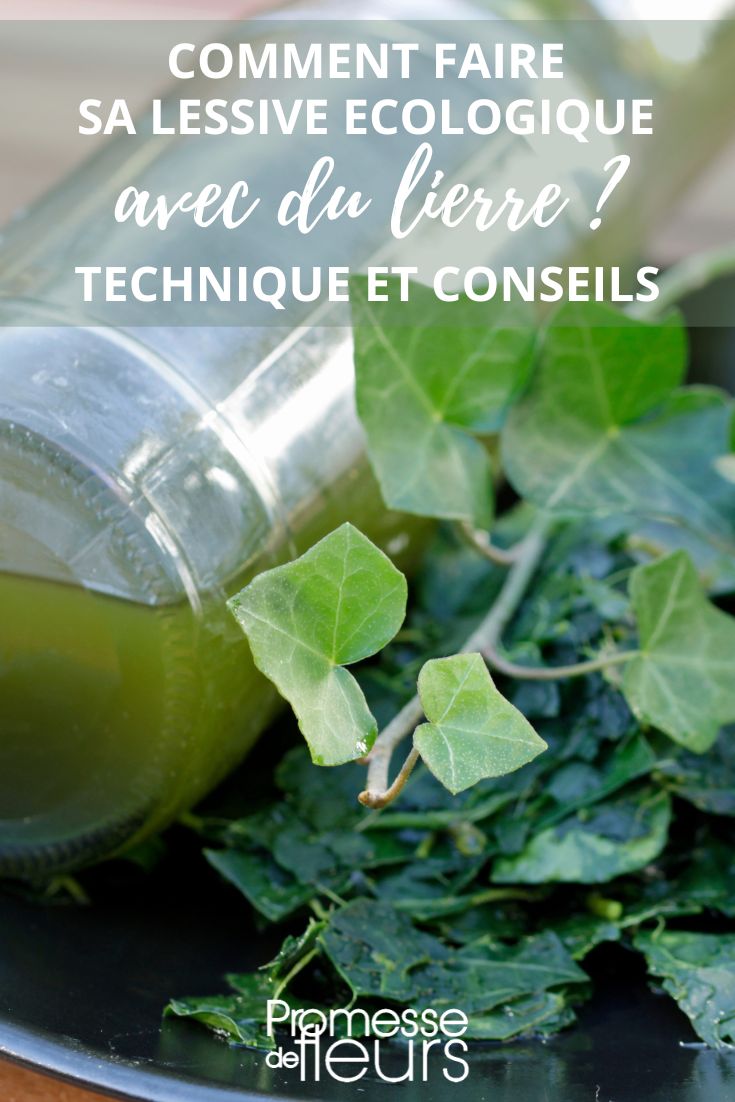 Pastille lave linge parfumée et écologique de Jardin et Saisons