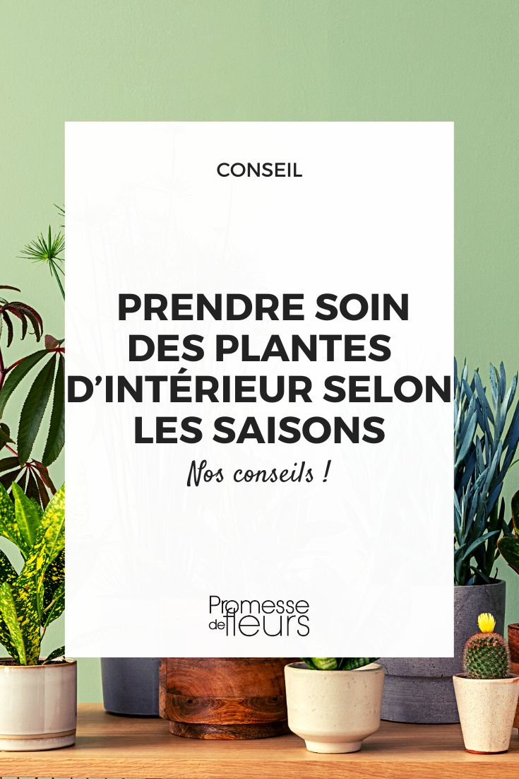 Ces 5 trucs simples et bon marché pour arroser vos plantes d