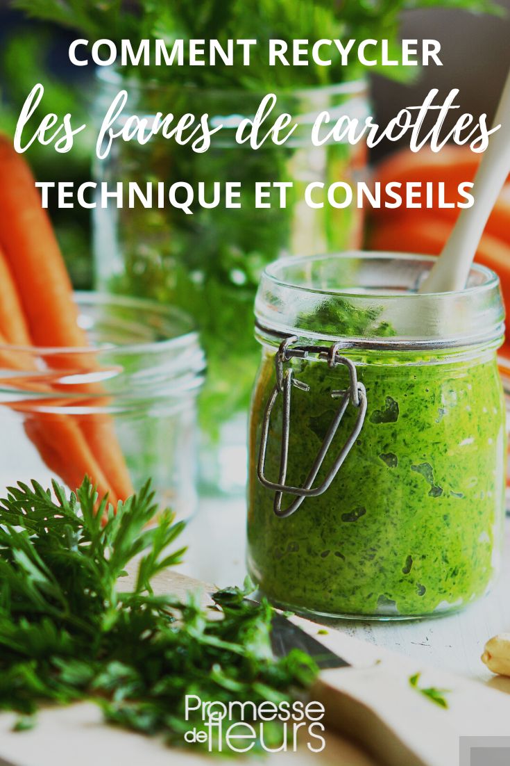 soupe et pesto aux fanes de carottes