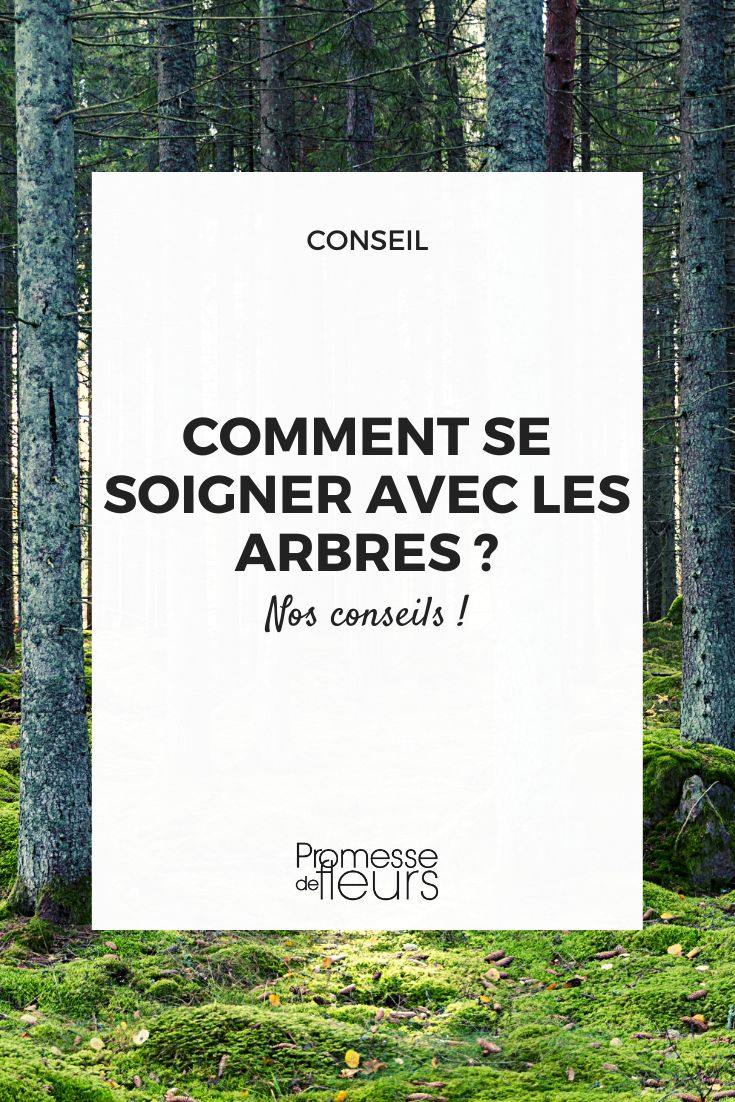 les bienfaits des arbres sur la santé