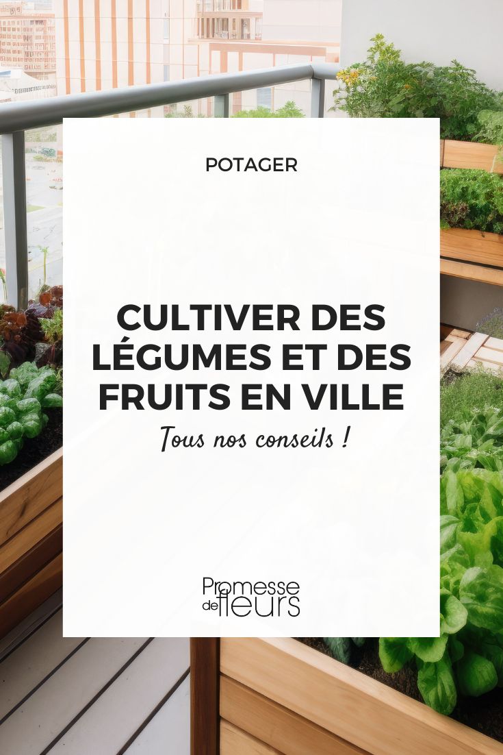 Les fruits et légumes de juillet - Fiches pratiques du jardin