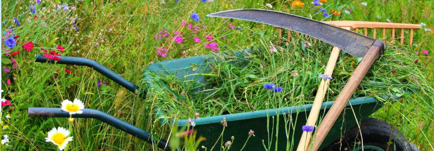 Faucher une prairie fleurie ou une zone enherbée