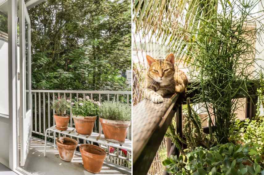 habillage rambarde balcon, aménagement balcon, cacher vis a vis balcon, recouvrir cacher garde corps, quelles plantes pour cacher balcon rambarde