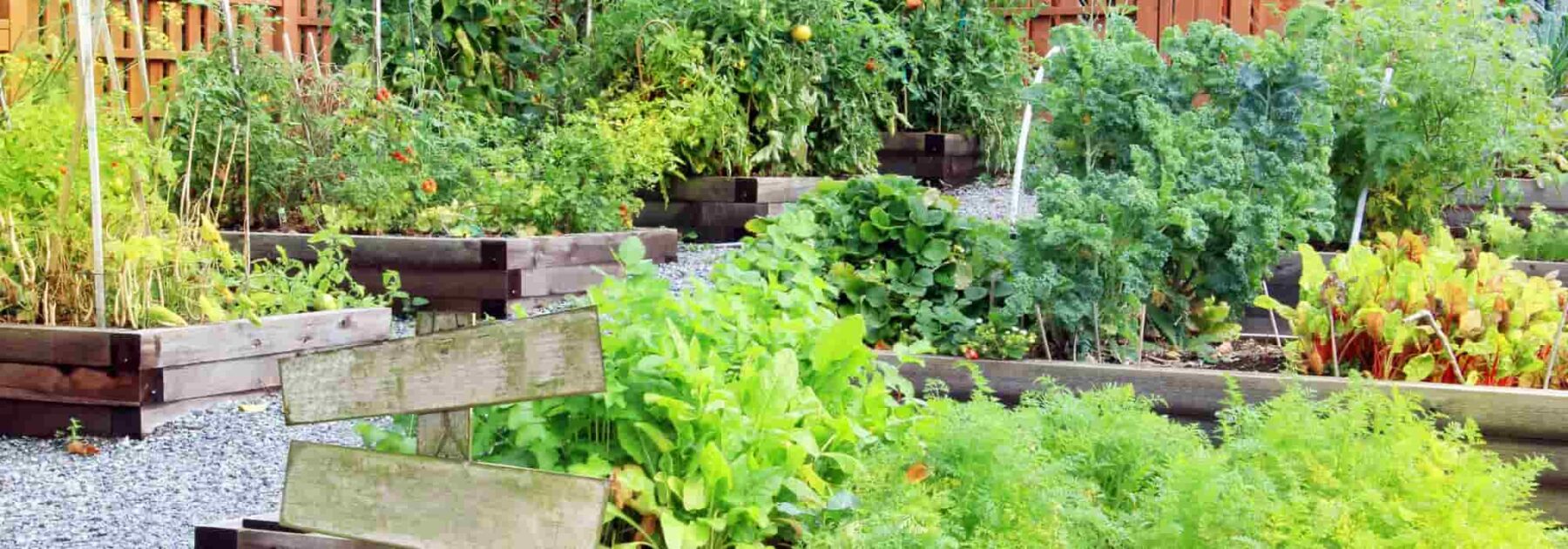 Jardinage : le potager permet de réaliser des économies