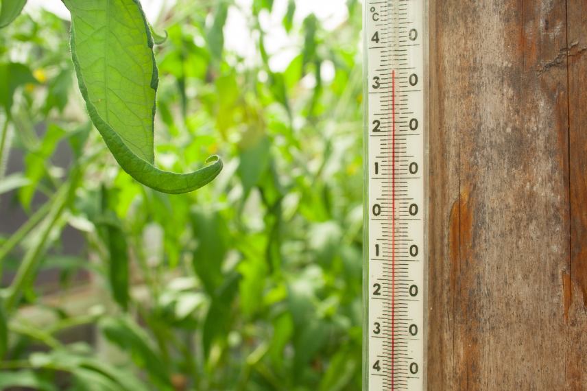 température trop chaude en serre en été