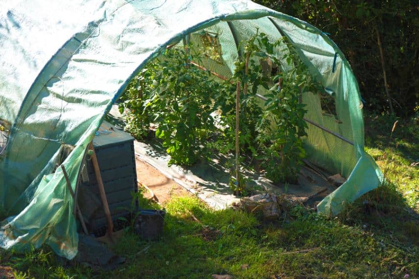 ouvrir la serre en ete pour faire baisser la temperature