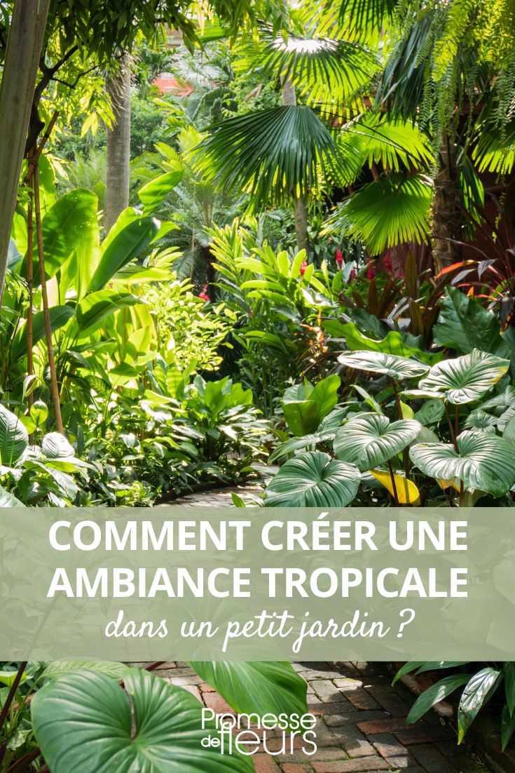 Passion Jardins  Comment choisir les bons contenants pour vos plantes