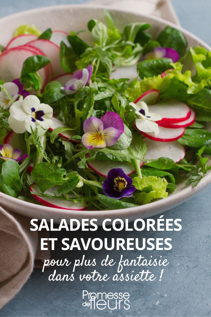 salades colorées et fleurs comestibles