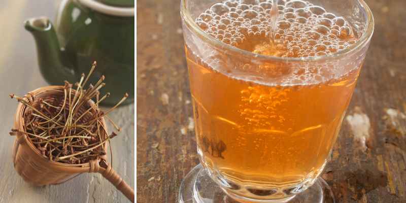 Queues de cerise  Tisane naturelle idéal pour la perte de poids