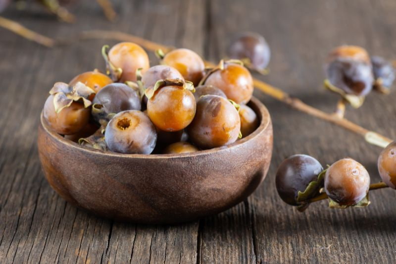 Choisir une variété de plaqueminier ou kaki - Promesse de Fleurs