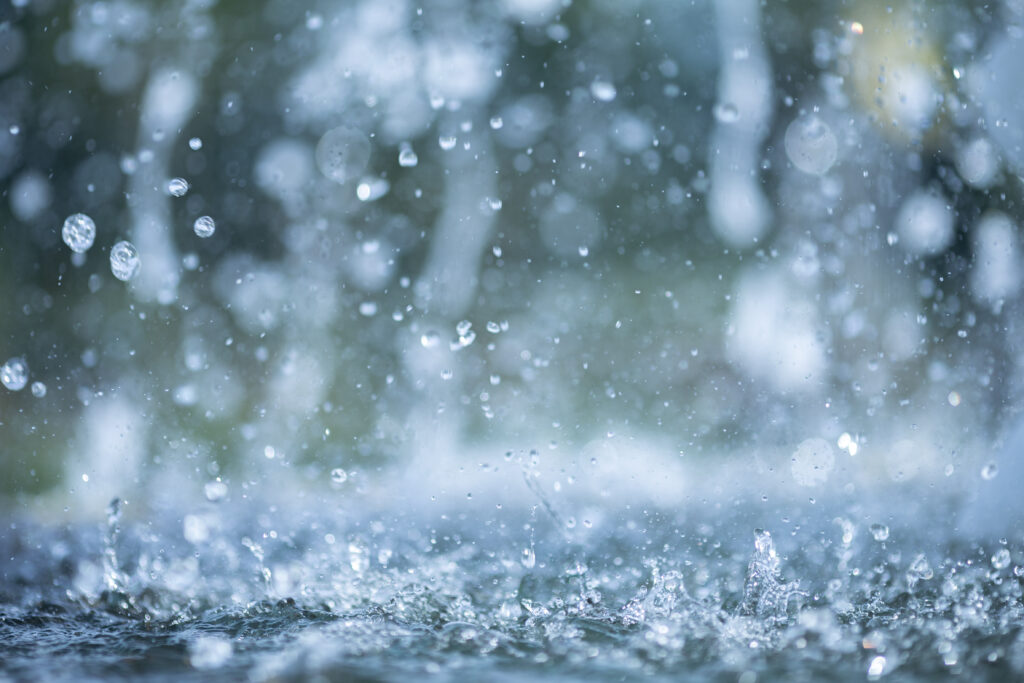 Petrichor, odeur de la pluie sur la terre