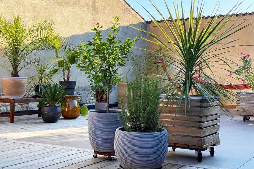 pots à plantes terrasse