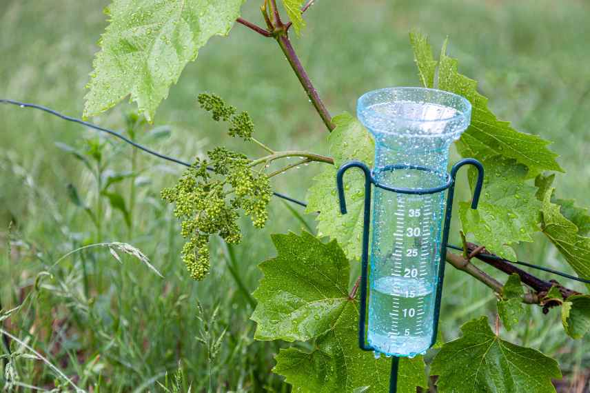 bonnes periodes de plantation, quand planter un arbre, quand planter arbuste, meilleure periode de l annee pour planter un arbre arbuste vivace