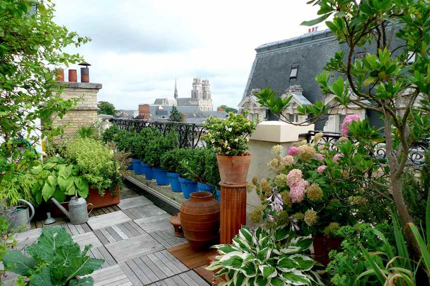 aménager un toit terrasse, aménagement toiture terrasse, conseils idées toit terrasse, quelles plantes sur un toit terrasse, plantes resistantes sur toiture terrasse, inspiration toit terrasse, reglementation toit terrasse