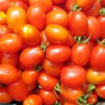 Tomates F1: c'est quoi en fait ?